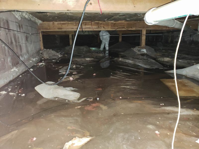 Basement Water Cleanup in Gilbert, AZ